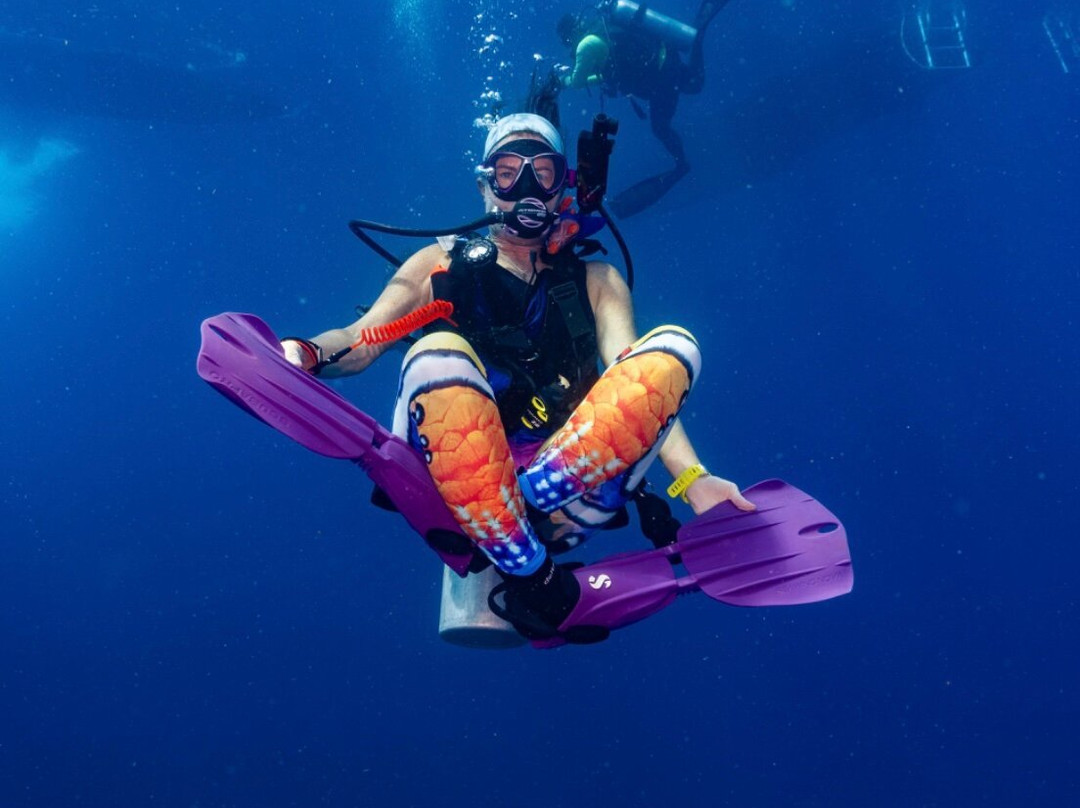 Florida Underwater Sports-萨拉索塔必去景点