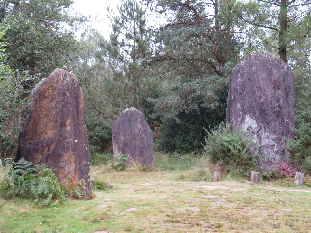 Menhirs de Monteneuf景点图片