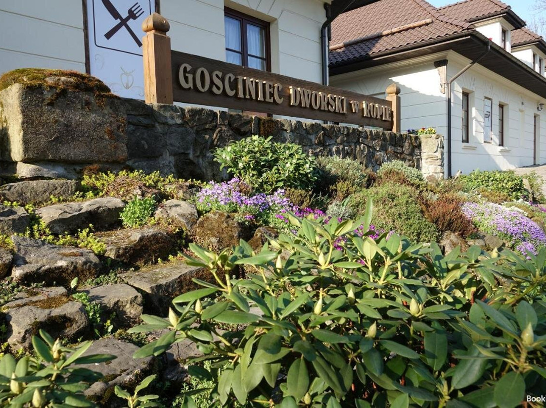 Gosciniec Dworski W Ropie主图