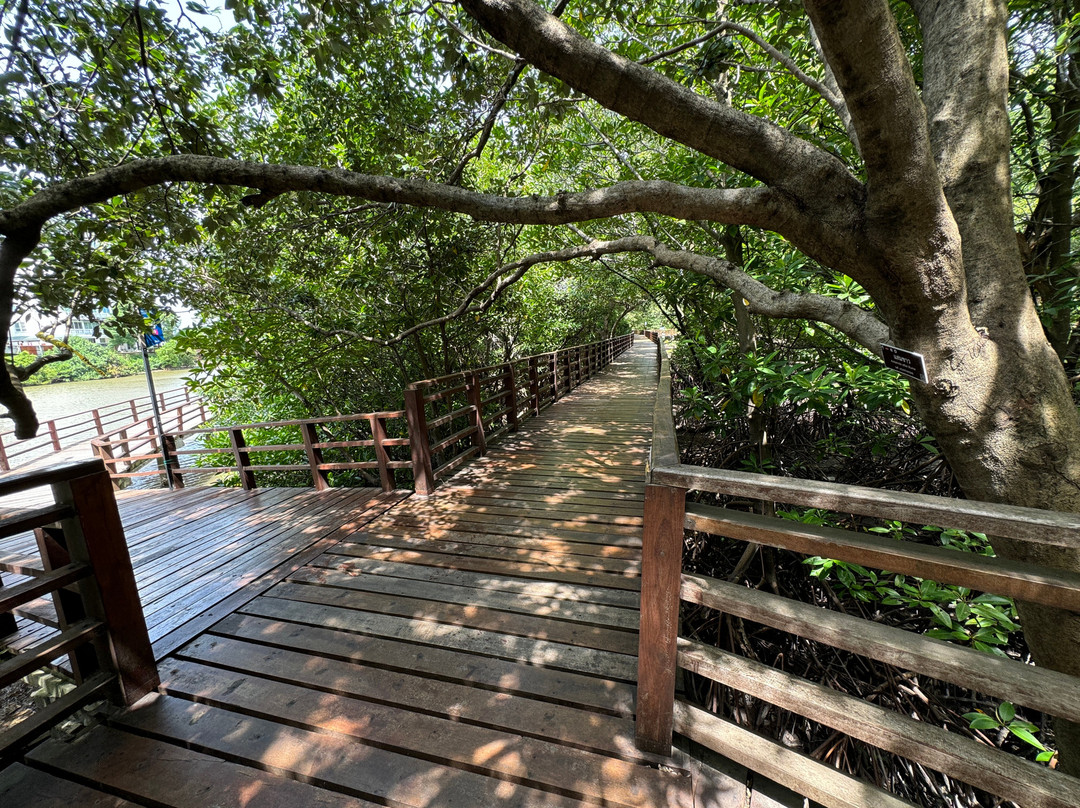 Mangrove Forest Learning Center景点图片