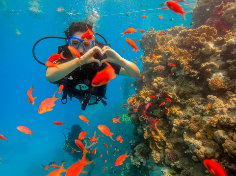 Hero Diving-沙姆沙伊赫必去景点