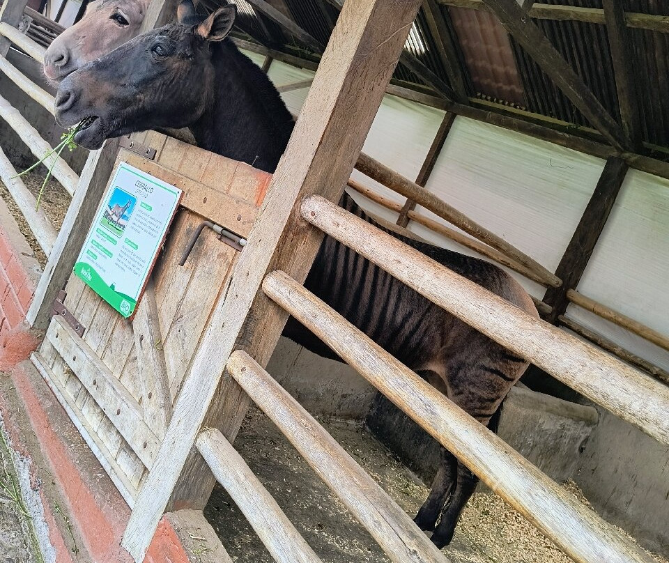 AnimalPark景点图片