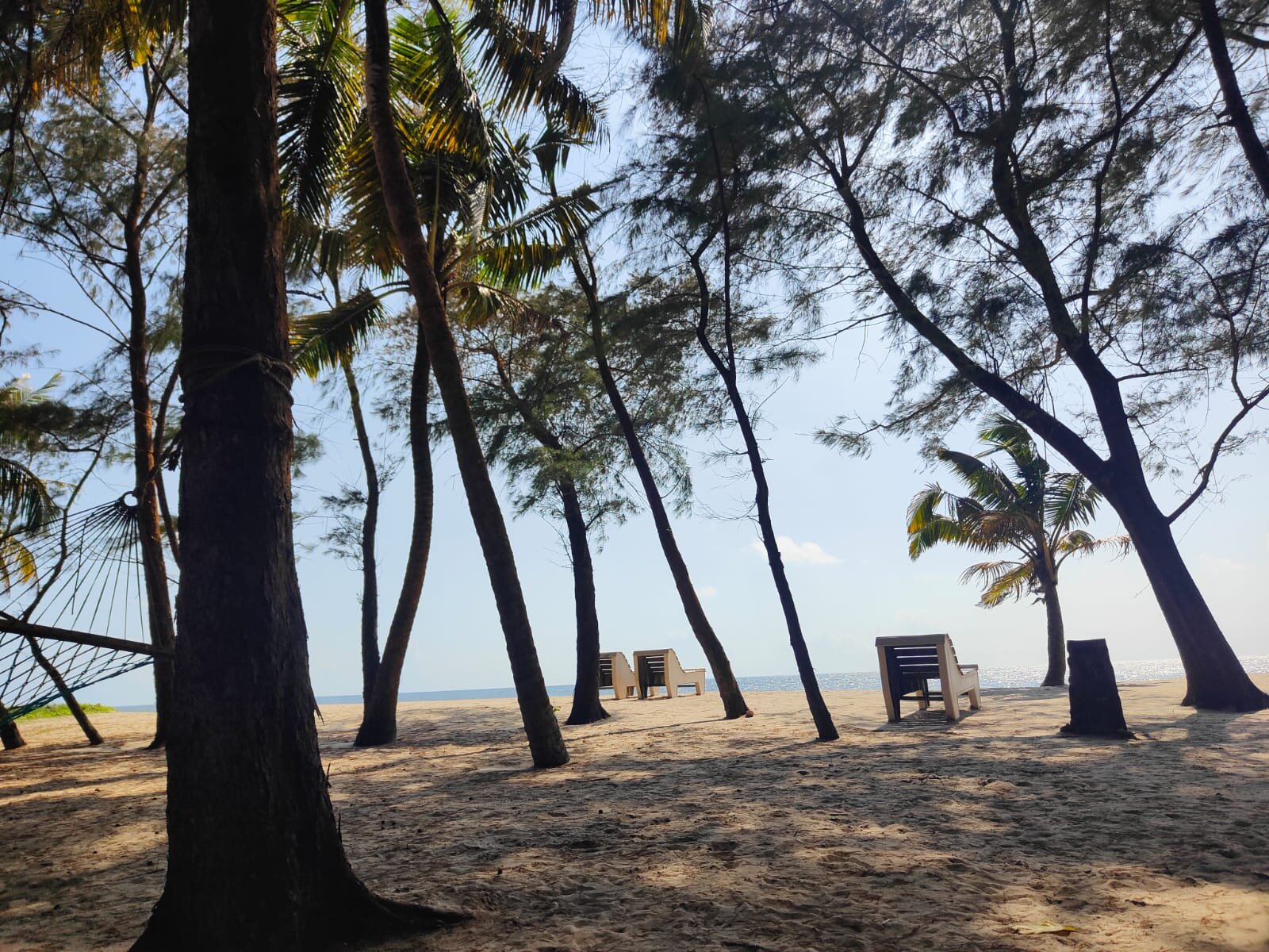 Seclude Marari Sands, Kerala-泳池