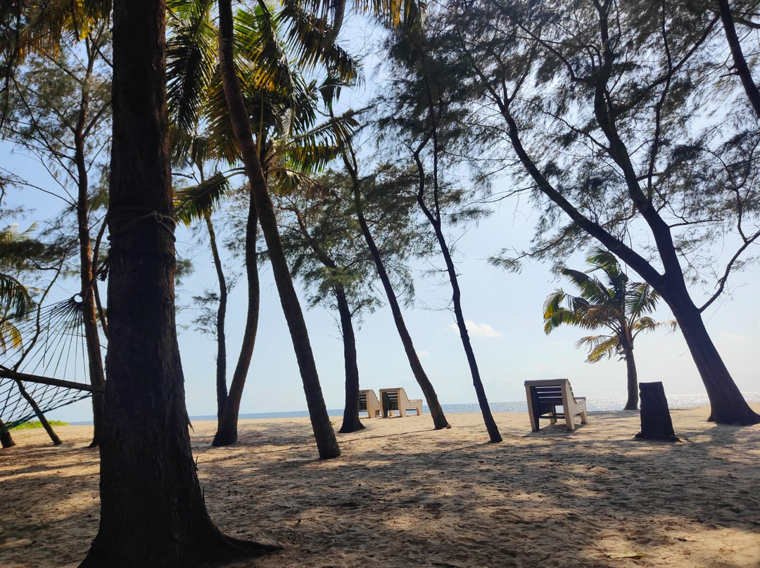 Seclude Marari Sands, Kerala主图