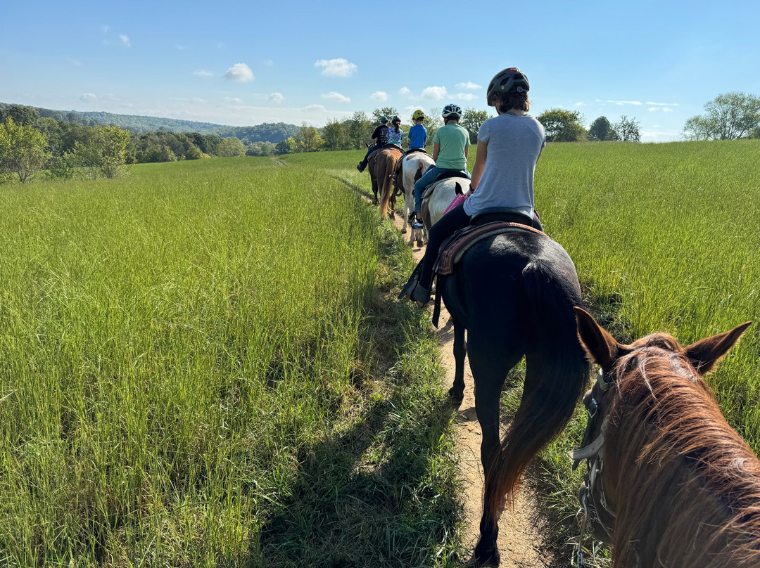 Natchez Trace Stables-Primm Springs必去景点