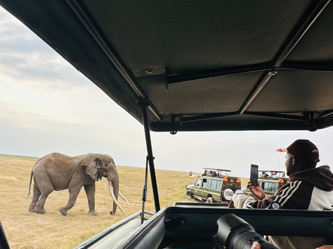 Wild Voyager-内罗毕必去景点