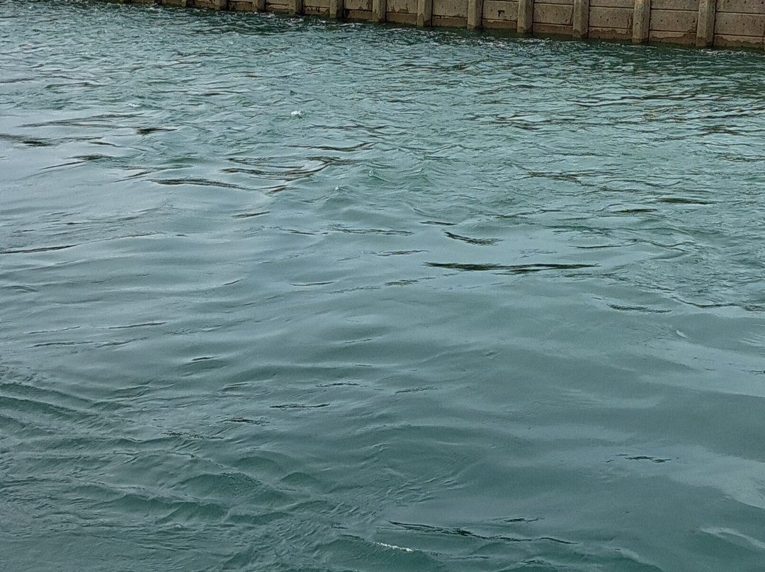 River Arun景点图片