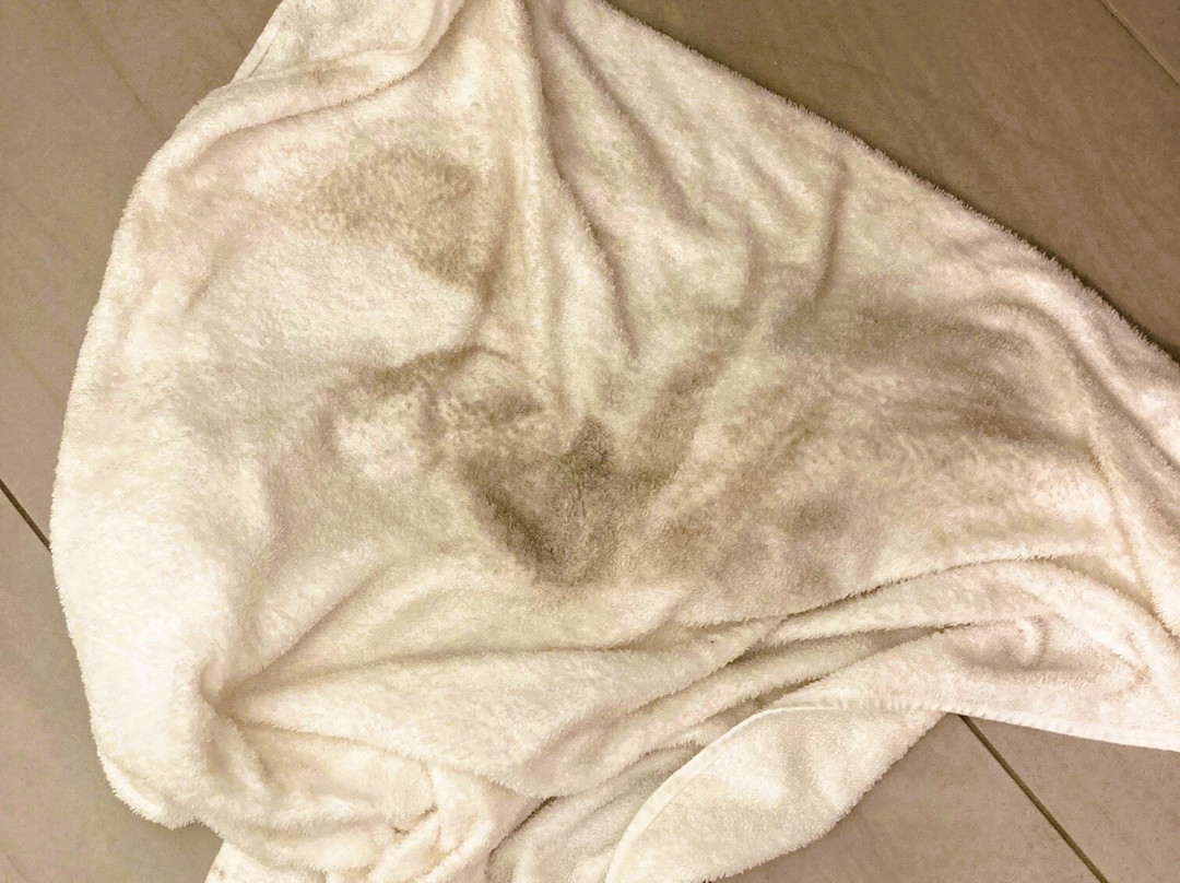 Holiday Inn Express & Suites Jackson - Flowood by IHG主图