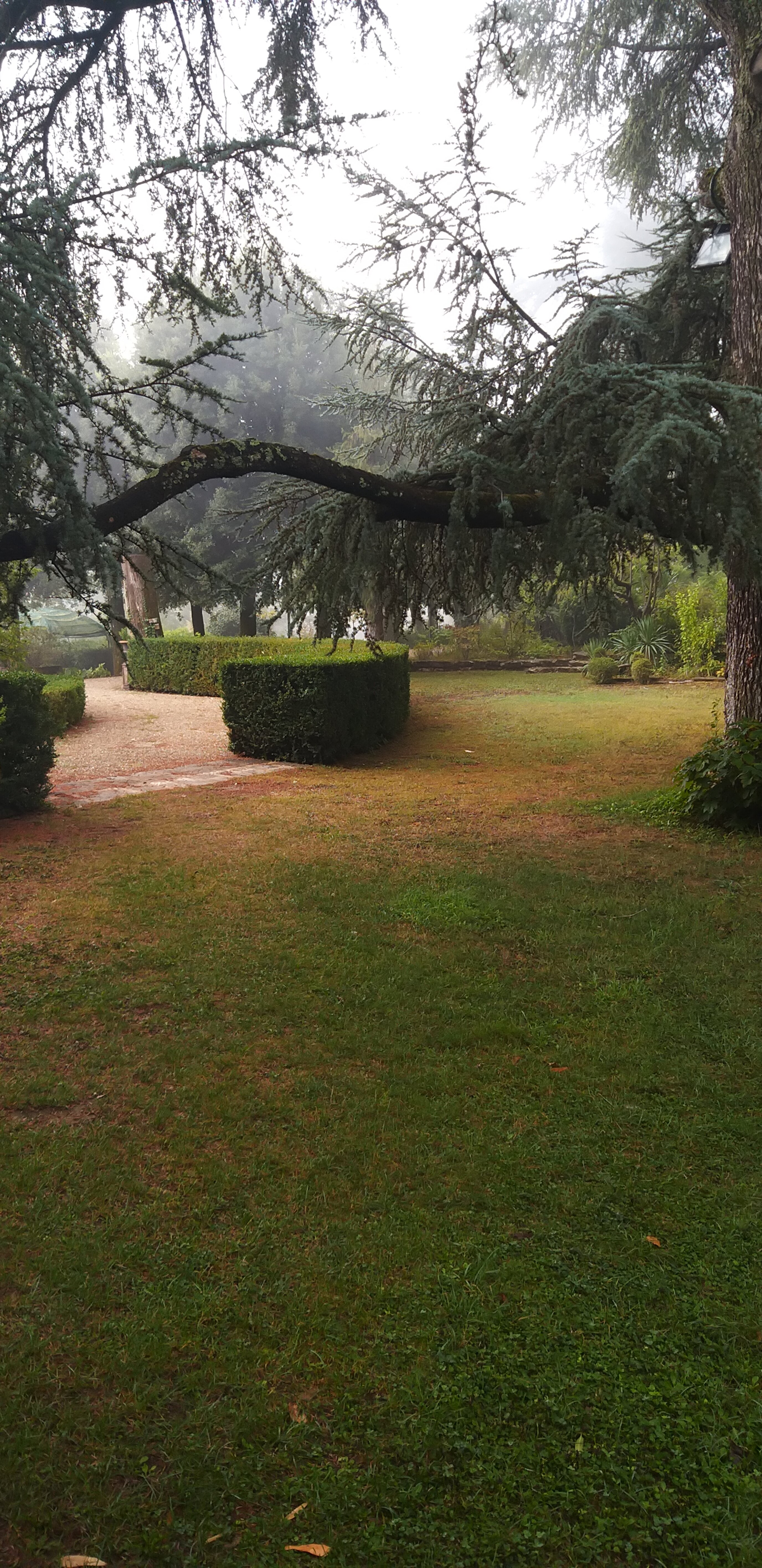 Castello di Querceto-官方