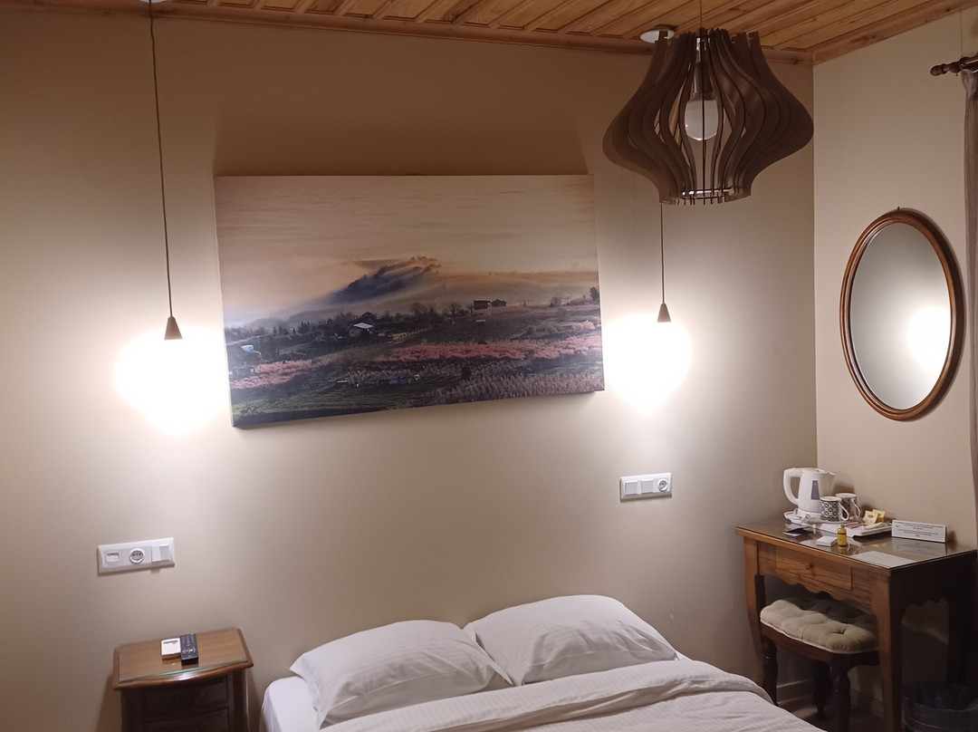 Blossom Rooms & Suite主图