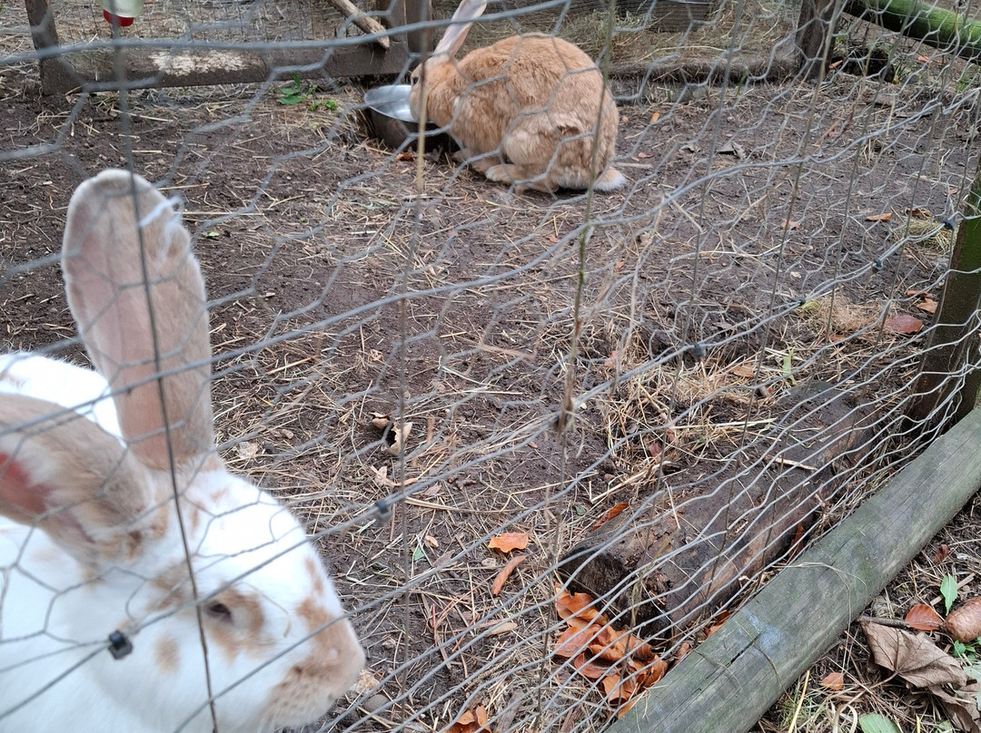 Claythorpe Watermill-Claythorpe必去景点