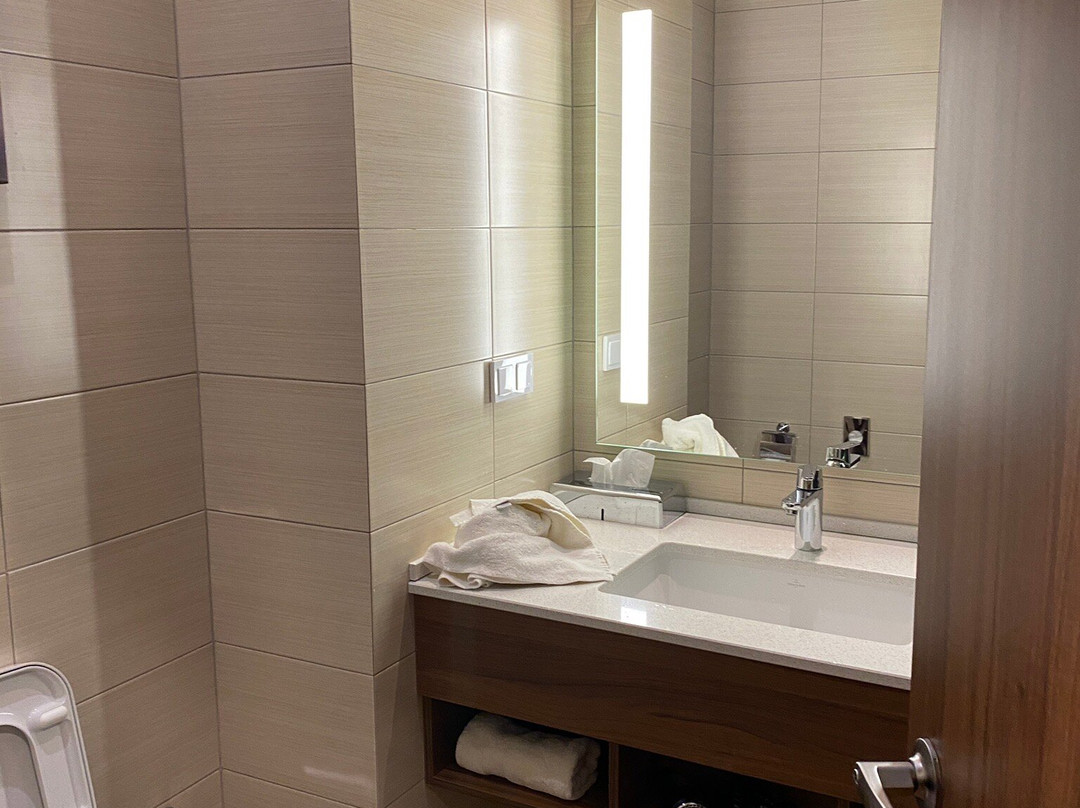 Hilton Garden Inn Orenburg主图