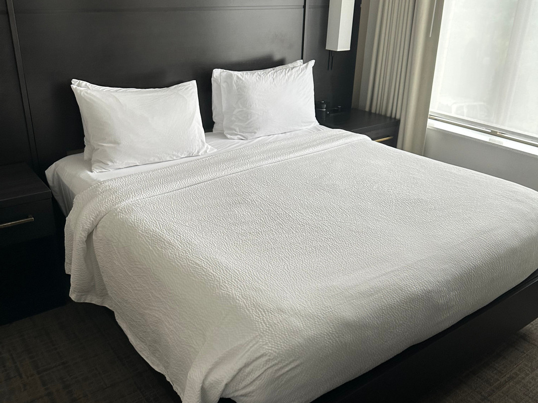Residence Inn Long Island Garden City主图