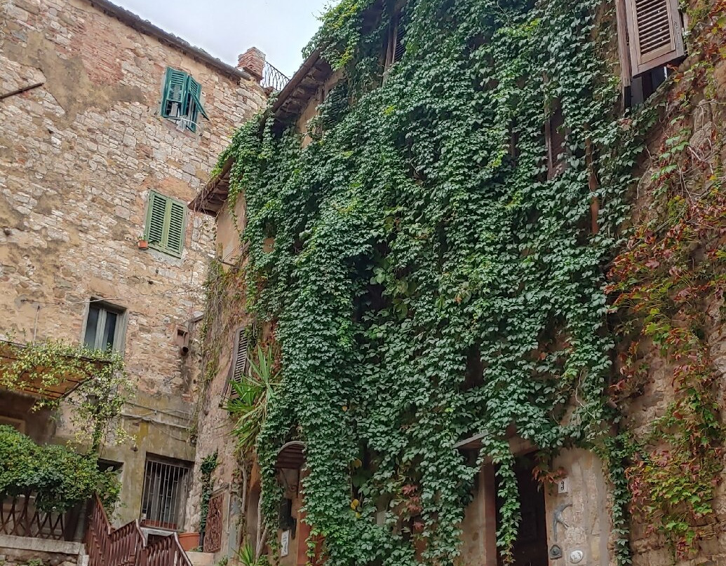 Centro Storico Campiglia Marittima景点图片
