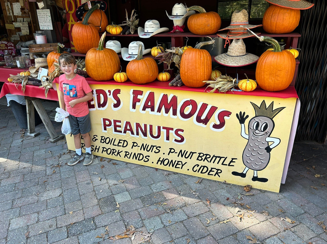 Fred's Famous Peanuts-海伦必去景点