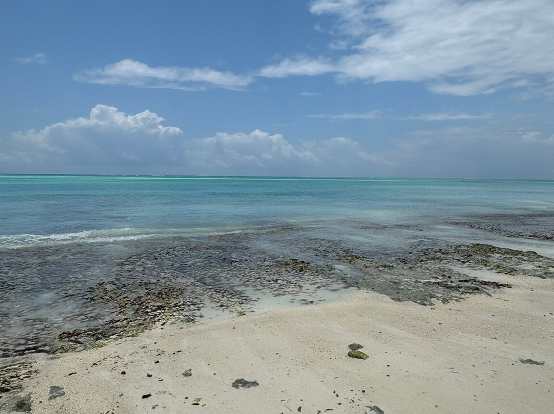 Tanzanite Beach Resort主图