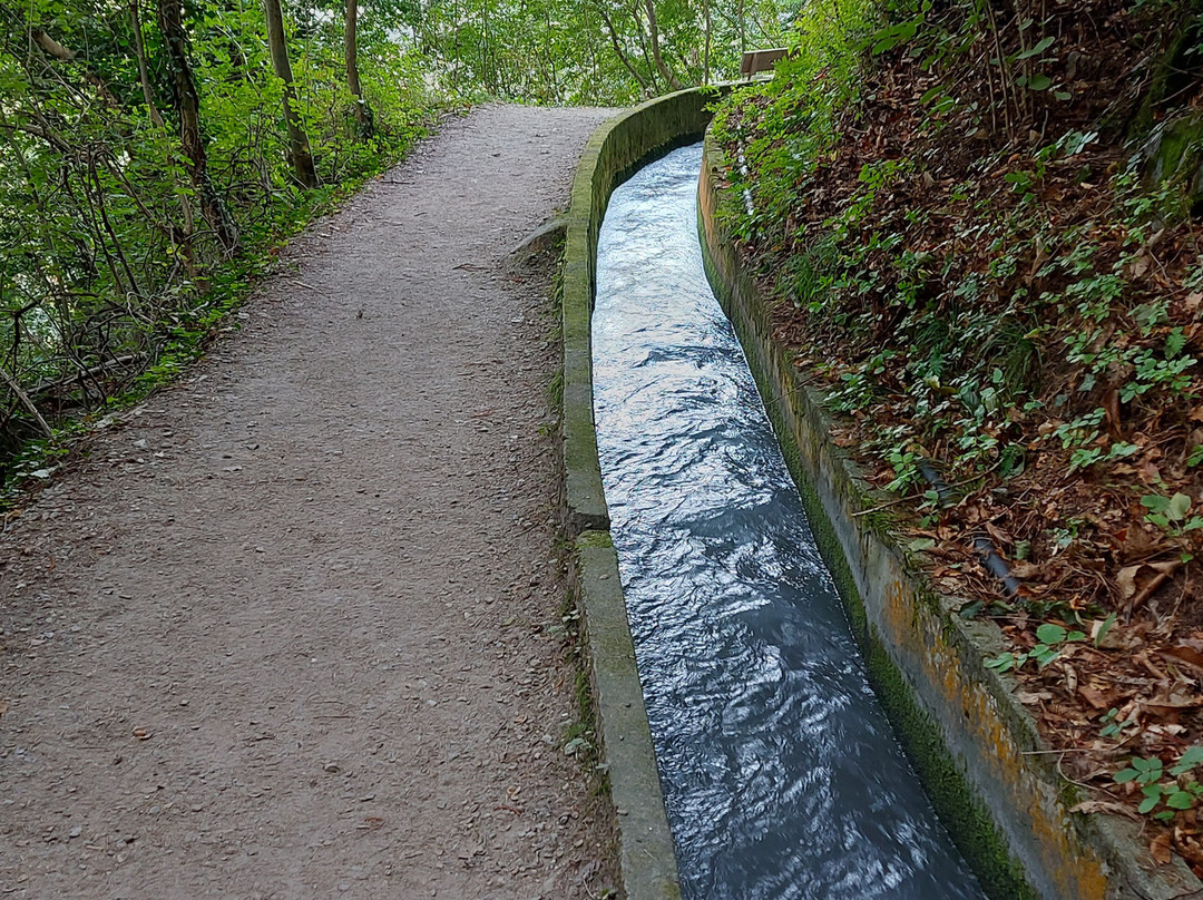 Marlinger Waalweg景点图片