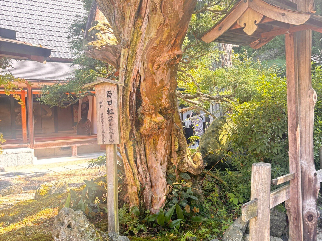 Shoju-in-宇治田原町必去景点