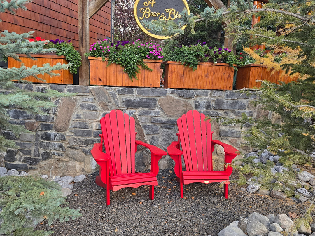 熊及野牛乡村酒店主图