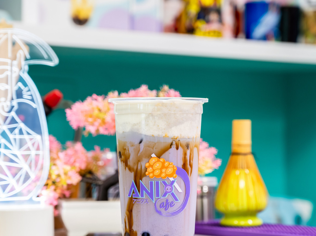 Anix Shop-塔林必去景点