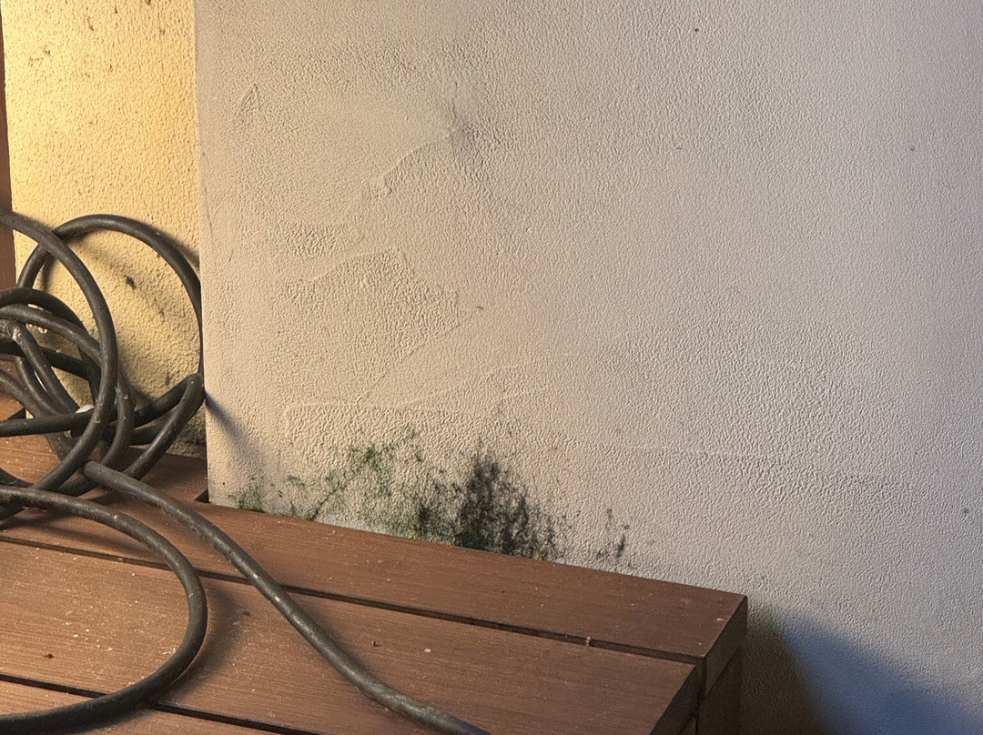 川汤温泉富士屋酒店主图