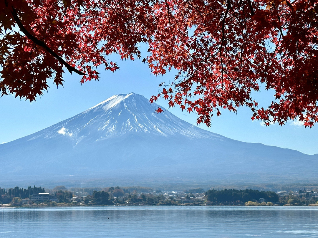Fuji Lake Kawaguchi Koyo Festival景点图片