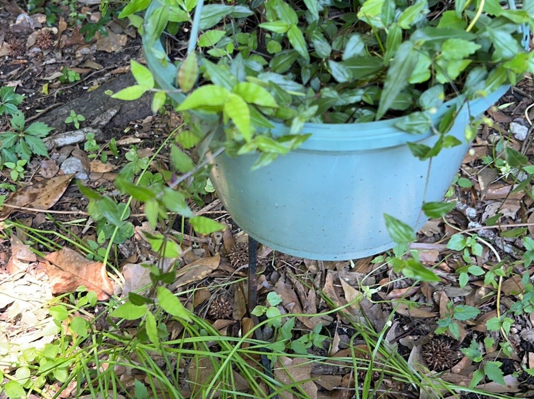 Colorado Canyon-博蒙特必去景点