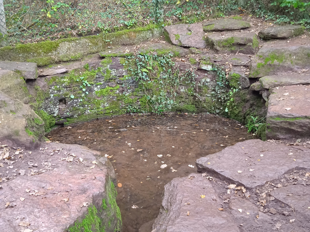 Tombeau de Merlin / Fontaine de Jouvence景点图片