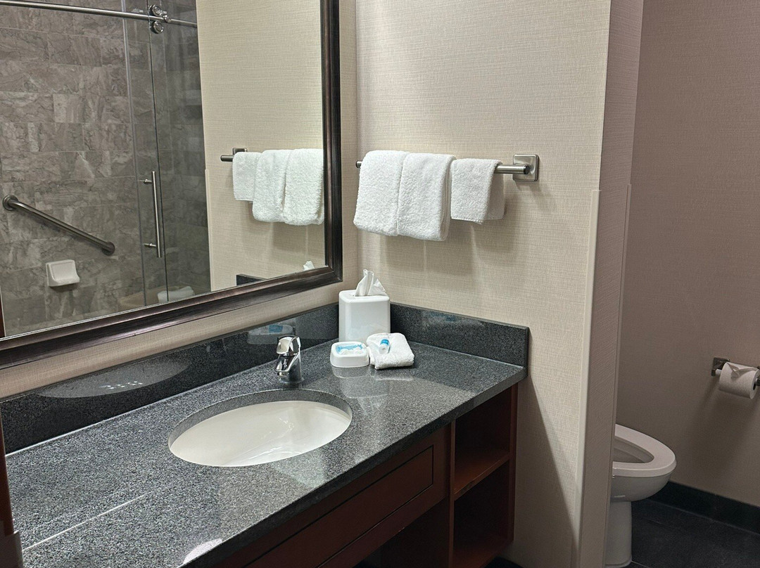 Drury Plaza Hotel Nashville Franklin主图