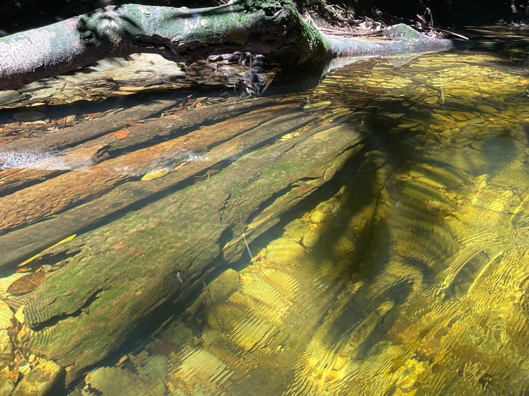 Hotel Reserva Aguamarina主图