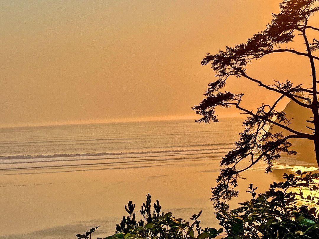 Agate Beach Motel主图