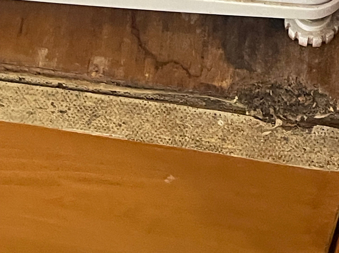 Ascos Coral Beach Hotel主图