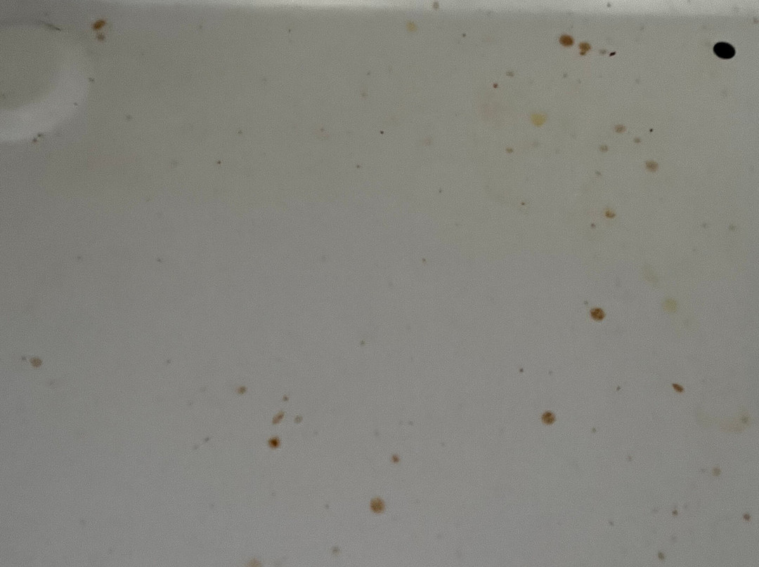 Days Inn & Suites by Wyndham Cedar Rapids主图