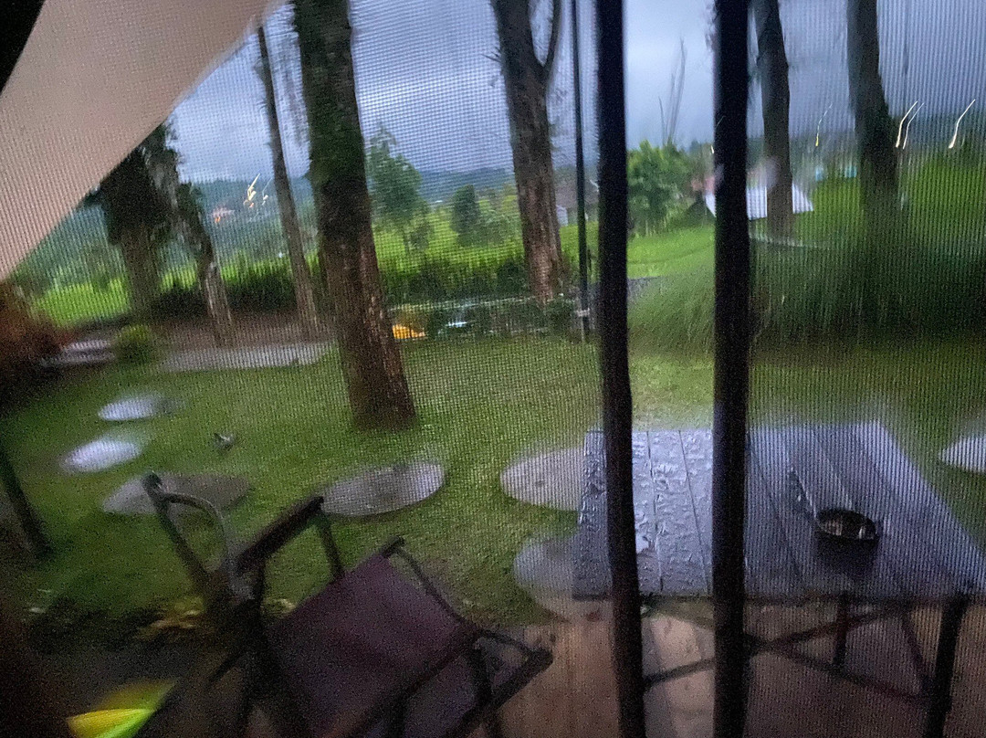 Puku Pods