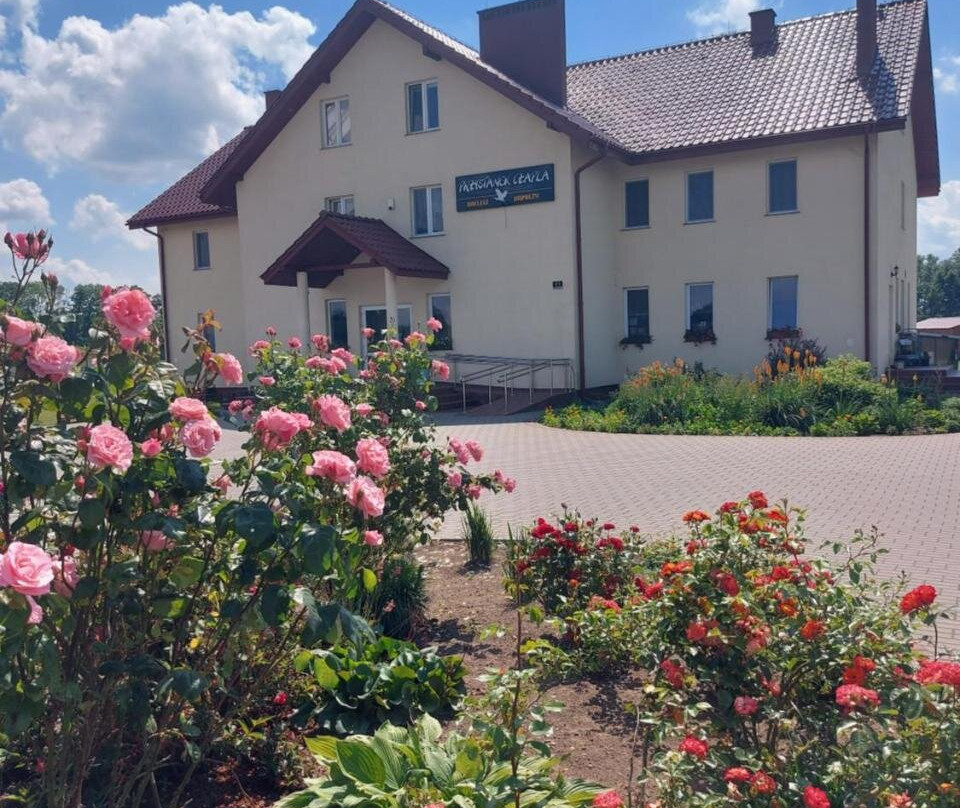 Przystanek Czapla