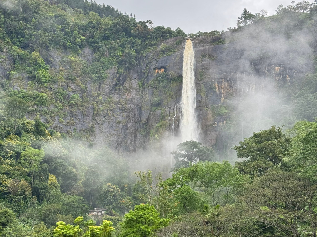 Bentota Lucky Tours & Travels景点图片