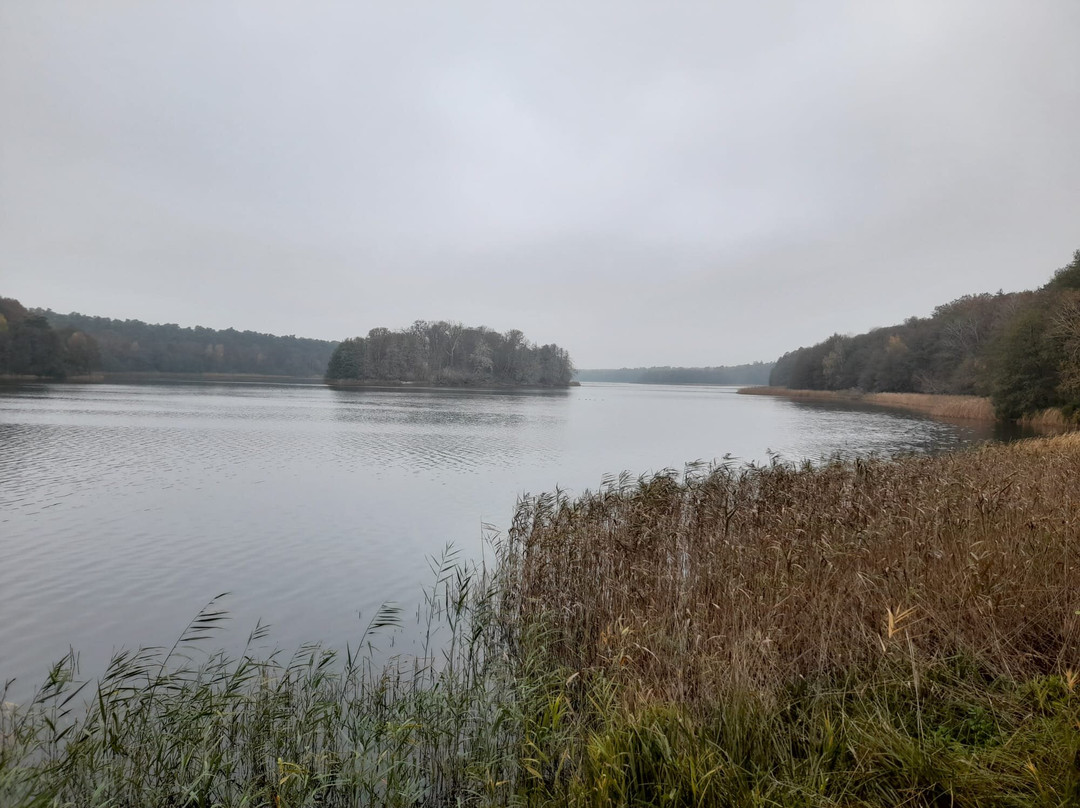 Wielkopolski National Park景点图片