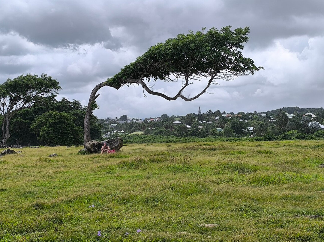 Pointe Allegre-Sainte Rose必去景点