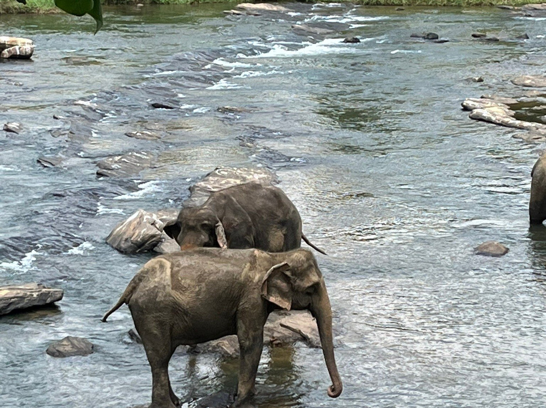 Hotel Pinnalanda主图