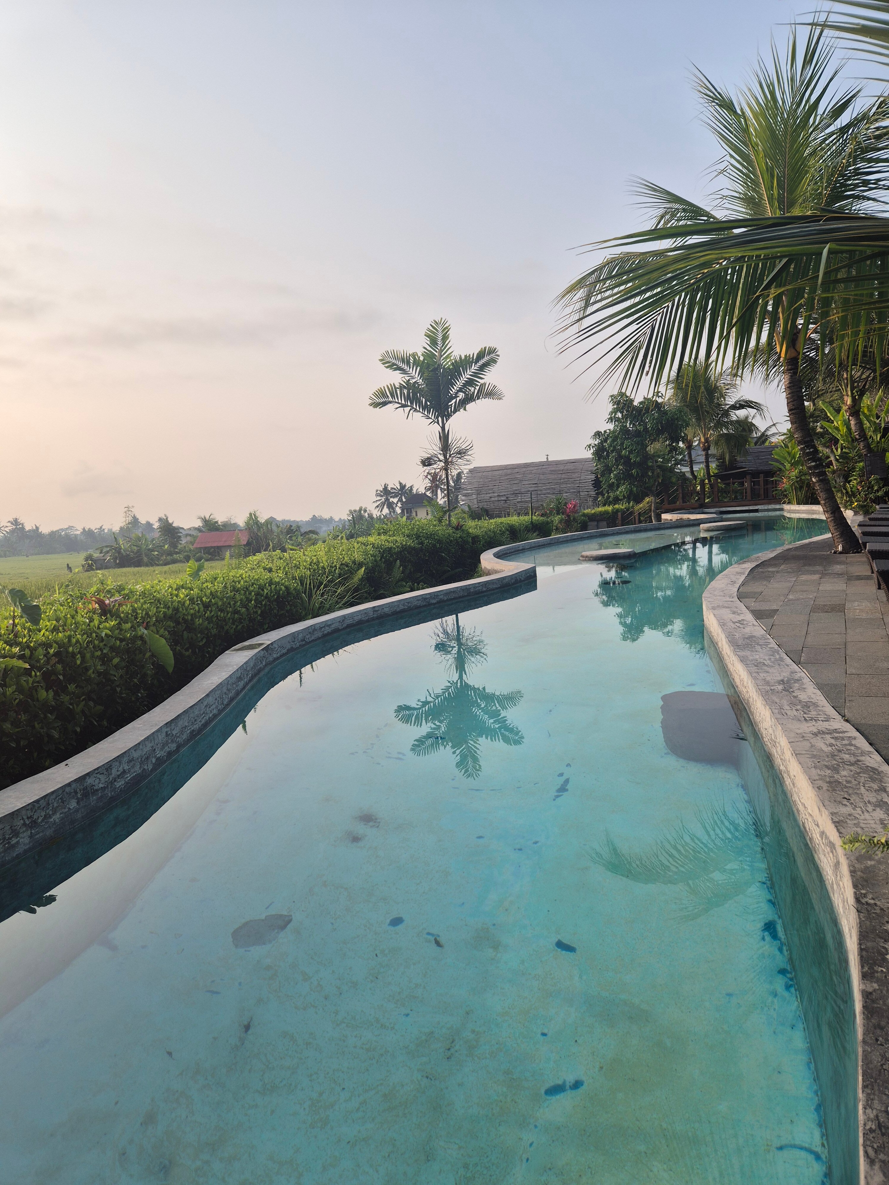 Beehouse Dijiwa Ubud-泳池