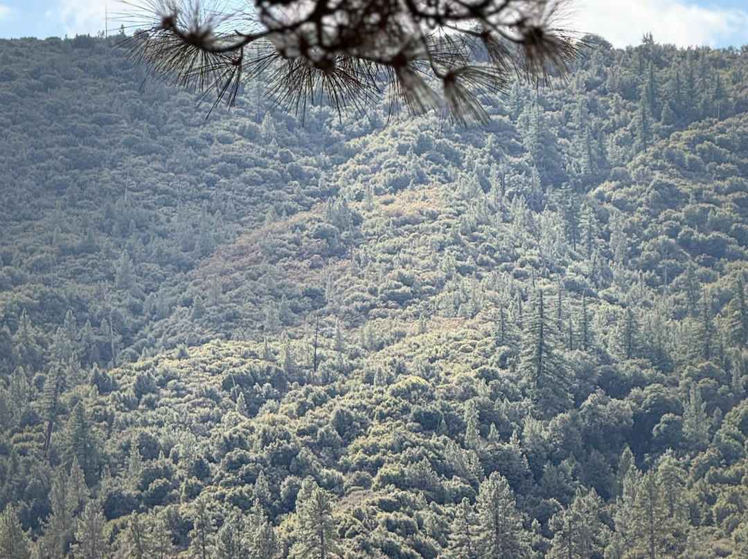 Lake Hemet-Mountain Center必去景点
