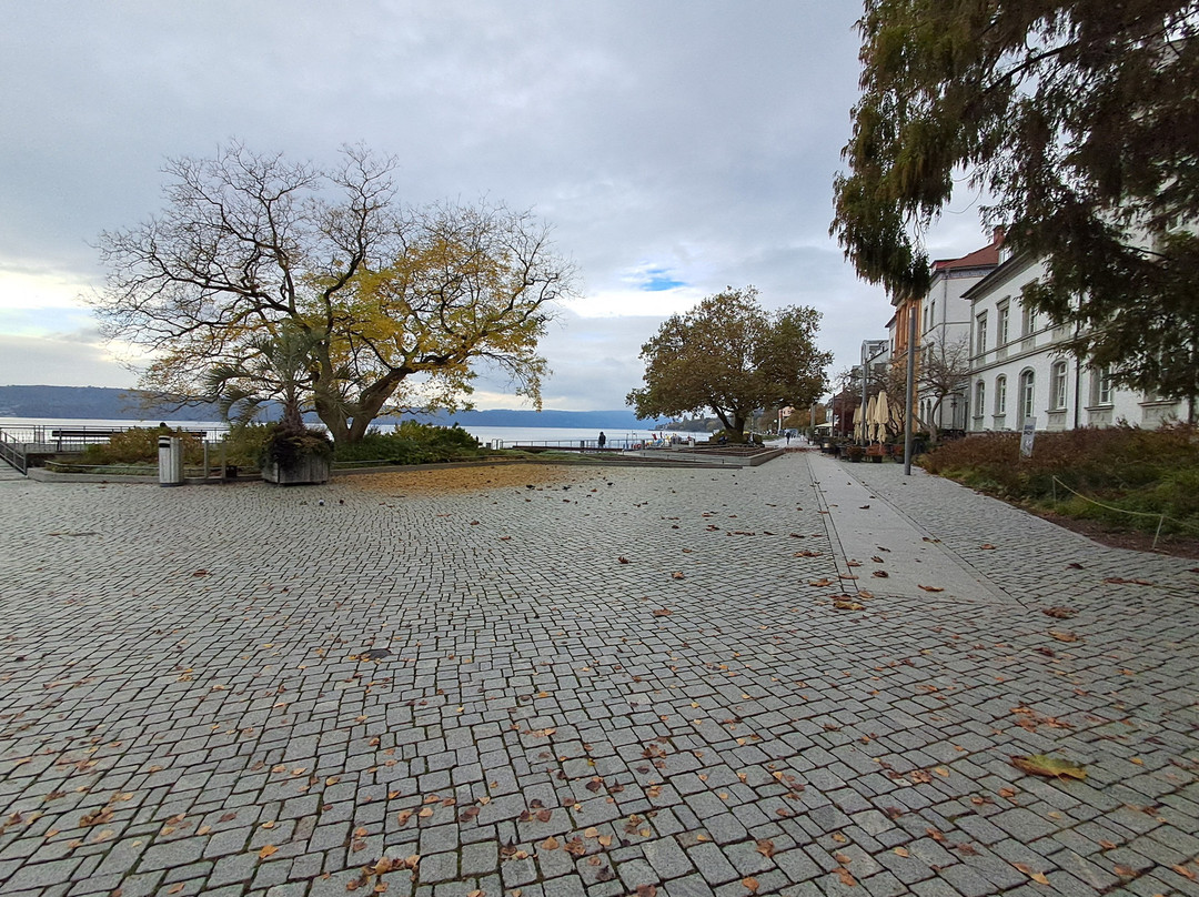 Hafen Überlingen景点图片