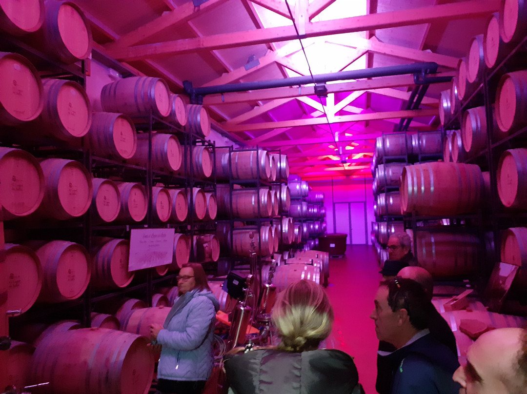 Bodegas El Lagar de Isilla-La Vid必去景点
