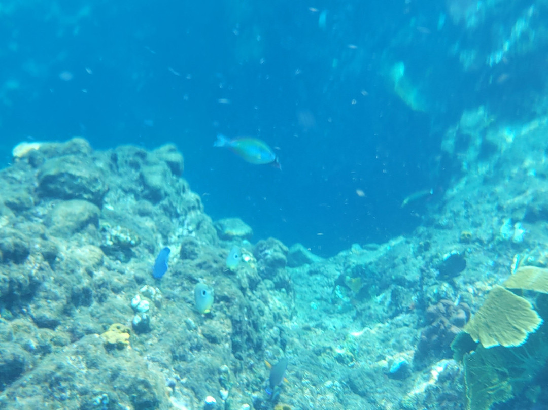 Waitukubuli Adventure Tour Co.景点图片