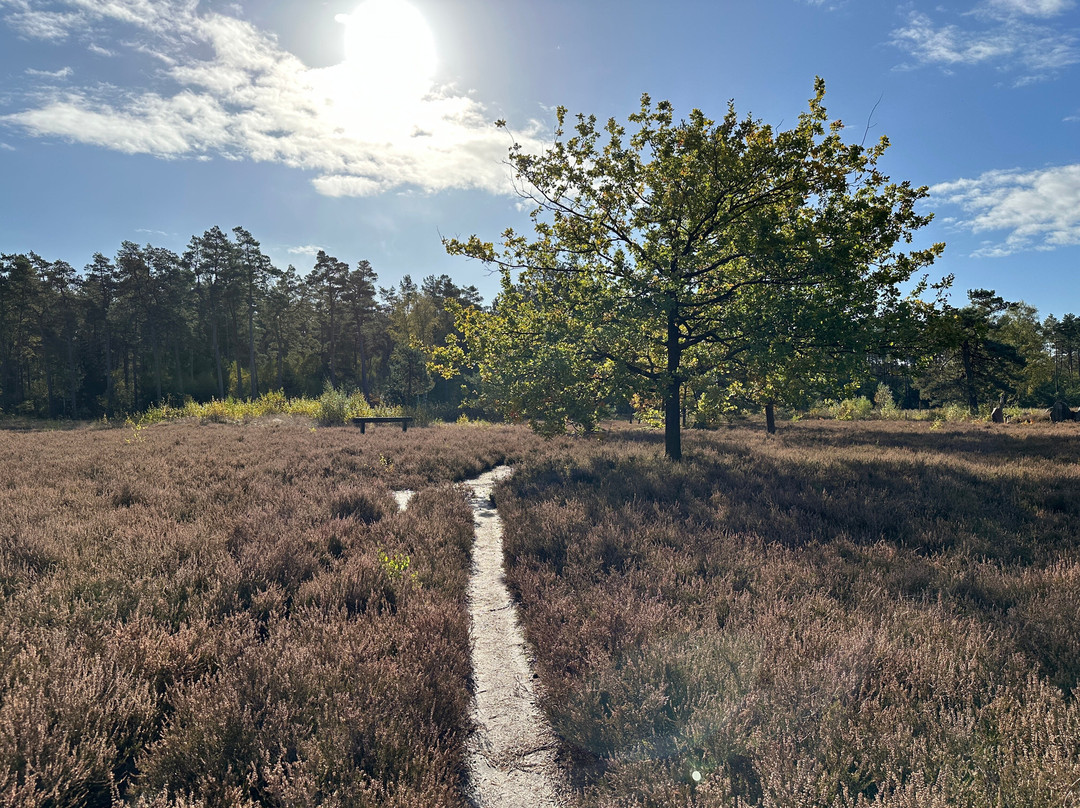 Oldendorfer Totenstatt