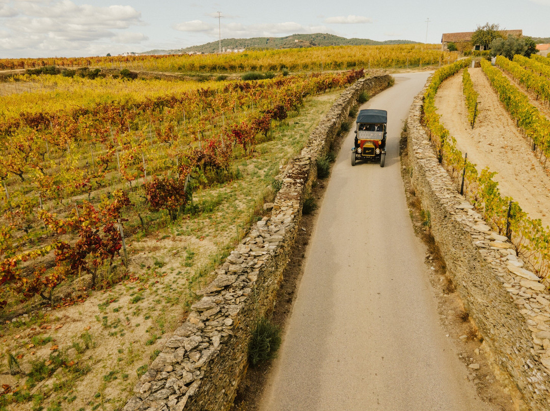 Quinta da Avessada - Enoteca Douro