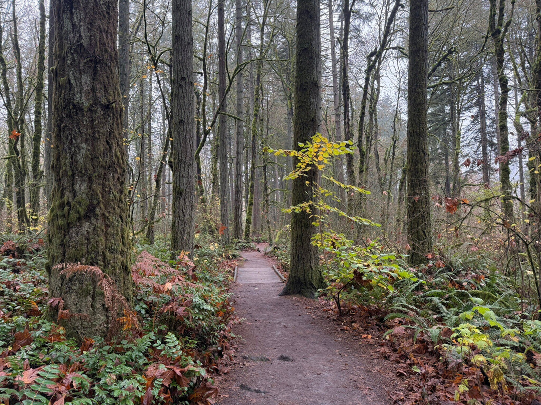 Tryon Creek State Natural Area景点图片
