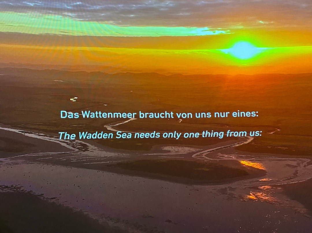 UNESCO-Weltnaturerbe Wattenmeer Besucherzentrum-威廉港必去景点