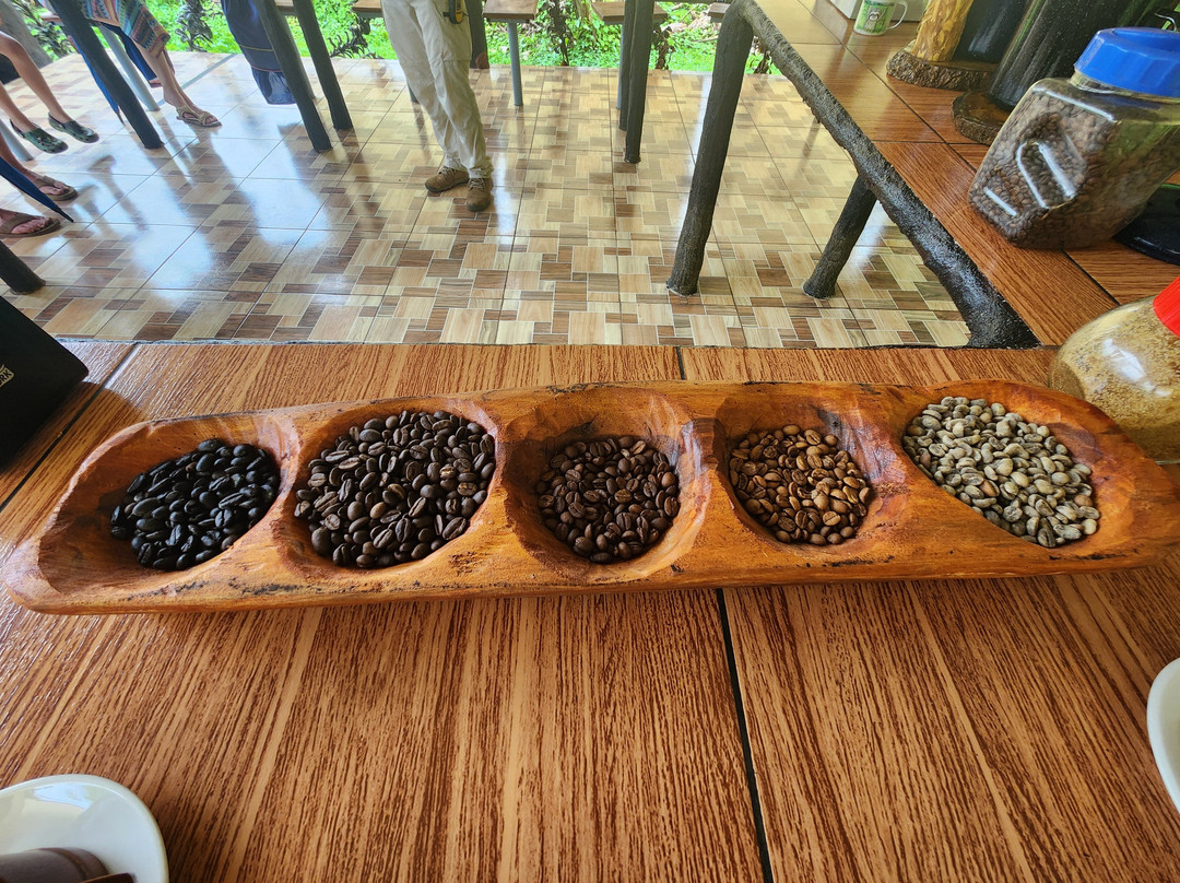 North Fields Coffee And Chocolate Tours景点图片
