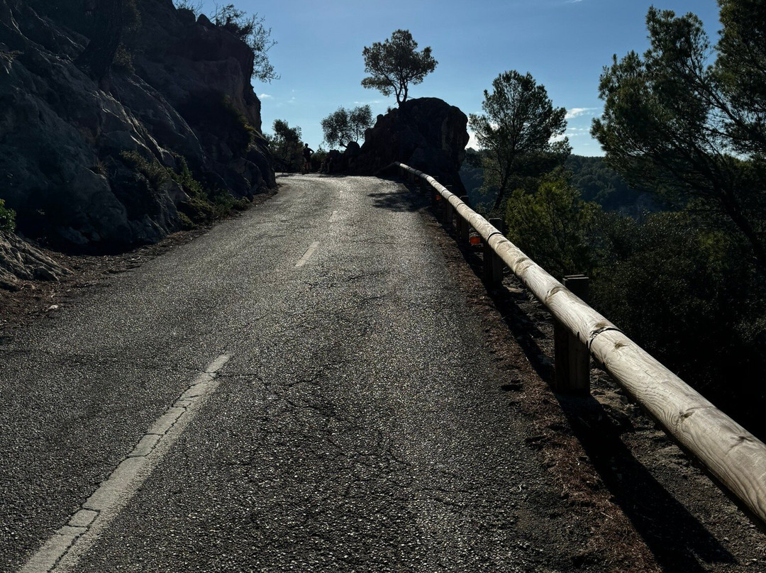 Rad International Mallorca-帕格拉必去景点